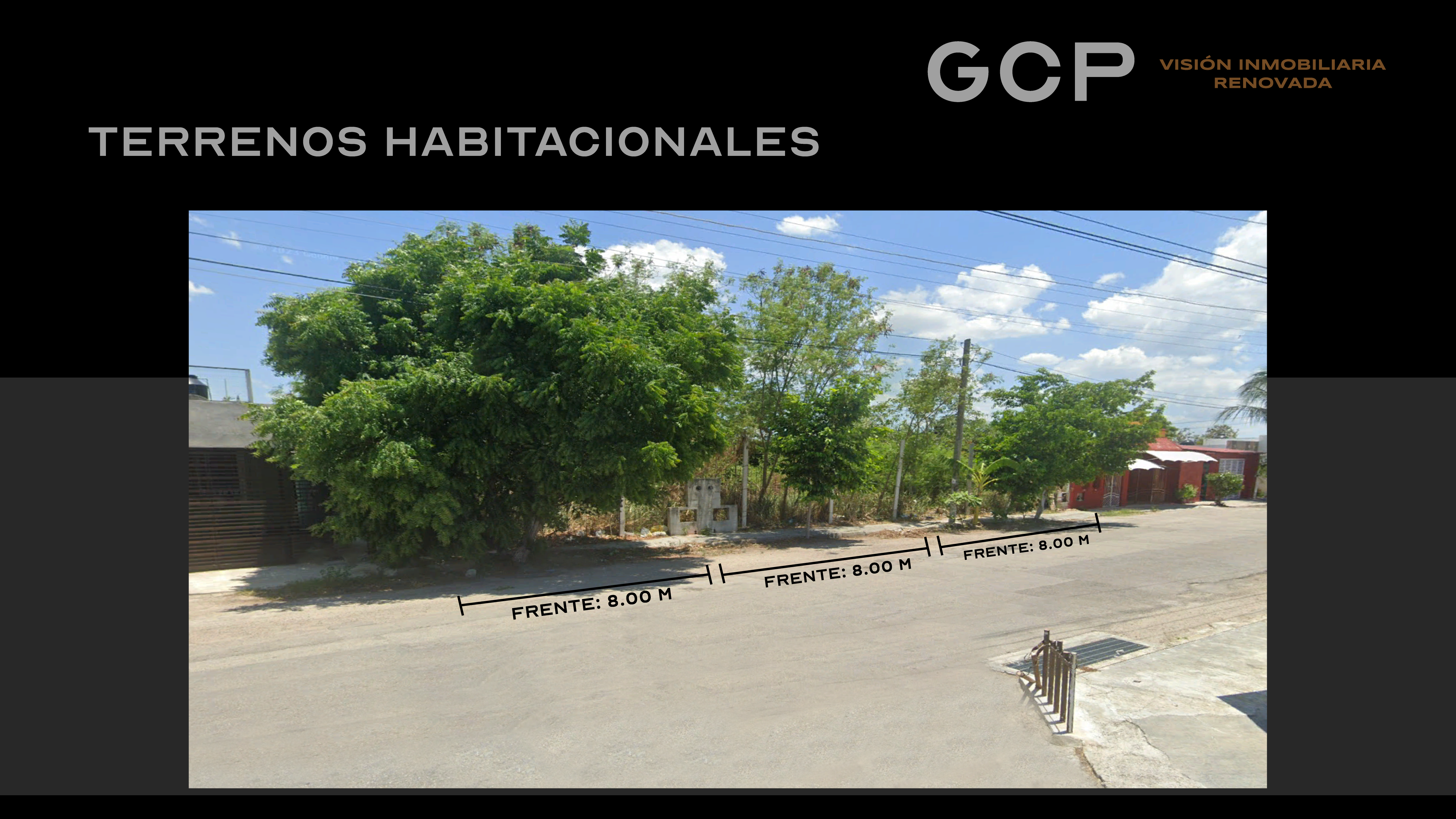 renacimiento mesa de trabajo 1 07