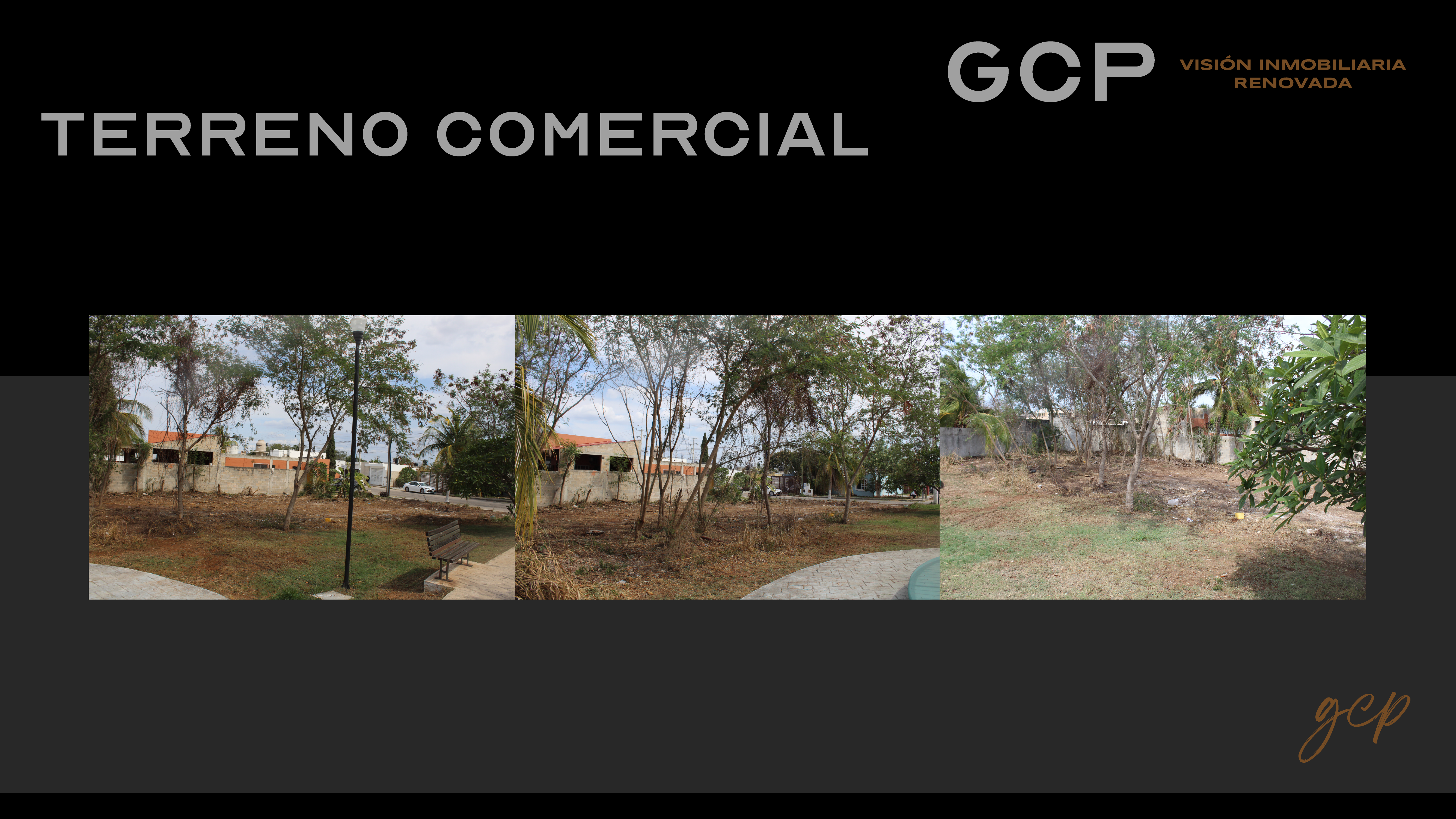 terrenos renacimiento comercial mesa de trabajo 1 11